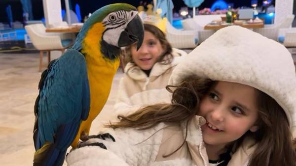 Why I Take My Kids to Places That Challenge Them